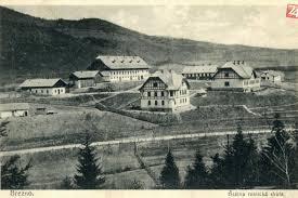 stiahnuť (3).jfif